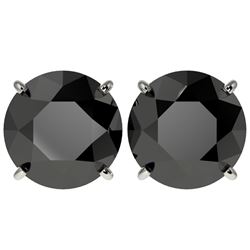 5 CTW Fancy Black VS Diamond Solitaire Stud Earrings 10K White Gold - REF-117X8T - 33145