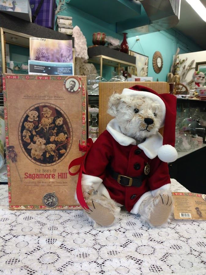 the bears of sagamore hill