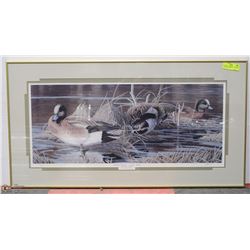 BALDPATE GATHERING - AMERICAN WIGEON BY ALAN