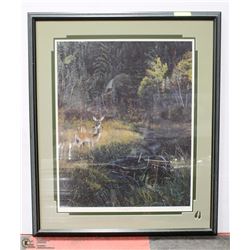 FIRST FALL WHITE TAILED DEER BY KARRI BERNETT