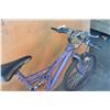 Image 2 : PURPLE NO BRAND BIKE