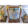 Image 2 : GLASS CASED BUTTERFLY DISPLAYS