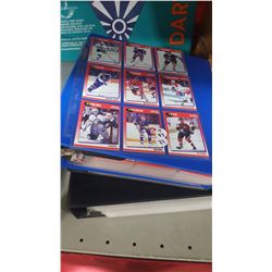 Hockey Card Lot
