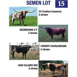 Semen Lot
