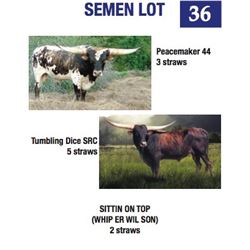 Semen Lot