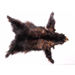 Montana Black Bear Tanned Hide