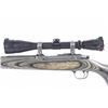 Image 5 : Ruger All Weather 77/17 .17 HMR Rifle LNIB
