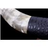 Image 8 : Large Set of Mounted Steer Horns