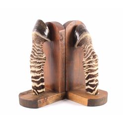 Taxidermy Zebra Leg Bookends