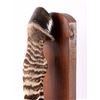 Image 4 : Taxidermy Zebra Leg Bookends