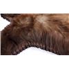Image 8 : Montana Black Bear Double Mounted Taxidermy Rug