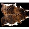 Image 1 : Brindle Pattern Montana Steer Hide Taxidermy Rug