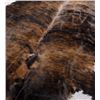 Image 2 : Brindle Pattern Montana Steer Hide Taxidermy Rug