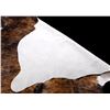 Image 4 : Brindle Pattern Montana Steer Hide Taxidermy Rug