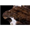 Image 5 : Brindle Pattern Montana Steer Hide Taxidermy Rug