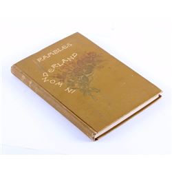 Rambles in Wonderland By Edwin Stanley 1898
