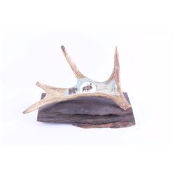 Carved Montana Moose Antler w/ Ironwood Base