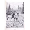 Image 11 : First Across the Continent 1901 First Edition