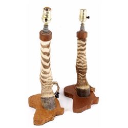 Pair of Taxidermy Zebra Leg Lamps w/ Africa Base