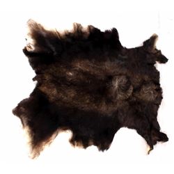 Tanned Montana Moose Hide