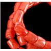 Image 4 : Large Pacific Branch Coral Collection Necklace