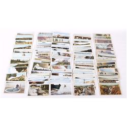 100 Different Yellowstone National Park Postcards