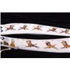 Image 12 : Native American Indian Bison Rib Painting