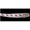 Image 3 : Native American Indian Bison Rib Painting