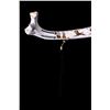 Image 4 : Native American Indian Bison Rib Painting