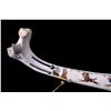 Image 5 : Native American Indian Bison Rib Painting