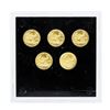 Image 2 : Lot of (5) 2016 $5 American Gold Eagle Coins