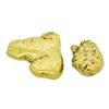 Image 1 : Lot of (2) Alaskan Gold Nuggets 13.82 Grams