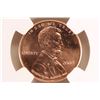 Image 2 : 2009 BIRTH & CHILDHOOD LINCOLN CENT NGC MS66RD