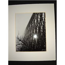 Picture by Dian McCreary (Spring Morning) #4of50