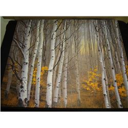 Fall Scene Picture on Canvas