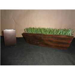 Small Plant Holder and Plant