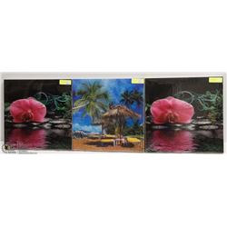 LOT OF THREE 3D ART PICTURES