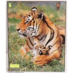 TIGER WITH CUB PRINT (16"X20")