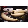 Image 1 : LOT OF 4 SPERM WHALE TEETH