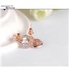 Image 1 : Wedding Jewelry Set: Rose Gold Color Necklace/Earring