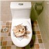 Image 1 : 3D Vivid Cats Toilet Stickers (Pair of 2 Random Cats)
