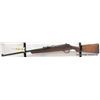 Image 1 : 1905 ROSS SPORTER RIFLE