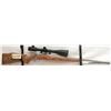 Image 2 : SAKO 75 III VARMIT RIFLE