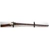 Image 2 : UNKNOWN MATCHLOCK MUSKET