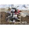Image 1 : (2) HONDA PUMPS