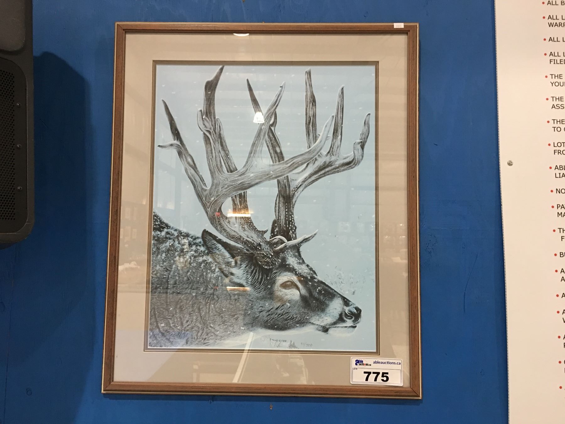 Artist R Fehr FRAMED LIMITED EDITION SIGNED & # PRINT WHITE BUCK BY R. FEHR