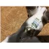 Image 2 : MADE IN DENMARK 4" PORCELAIN DOG FIGURINE