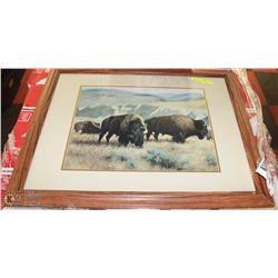 PLAINS BUFFALO PRINT. PROFESSIONALLY FRAMED