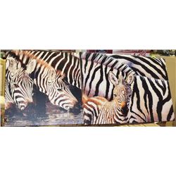 SET OF 2 CANVAS ZEBRA PRINTS 20X27.