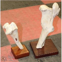 PAIR OF BONE CARVINGS